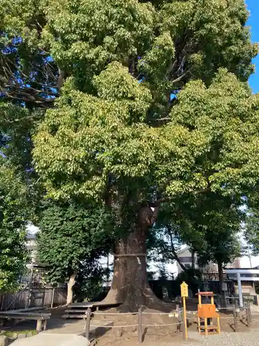 日々神社(神奈川県)