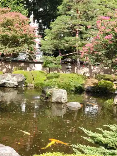 蓮花院の庭園