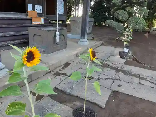 伏木香取神社の自然