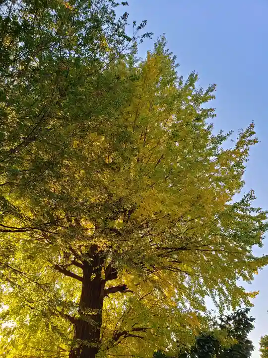 宝福寺(東京都)