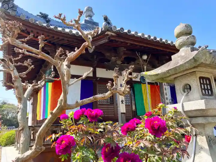 真言宗 善通寺派 薬王寺(香川県)