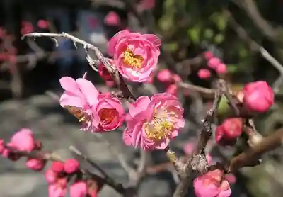 下御霊神社(京都府)
