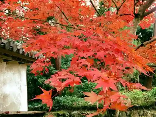 圓教寺の自然