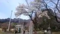 白鬚神社の自然
