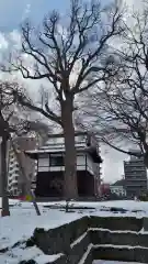 北海道東本願寺会館の建物その他