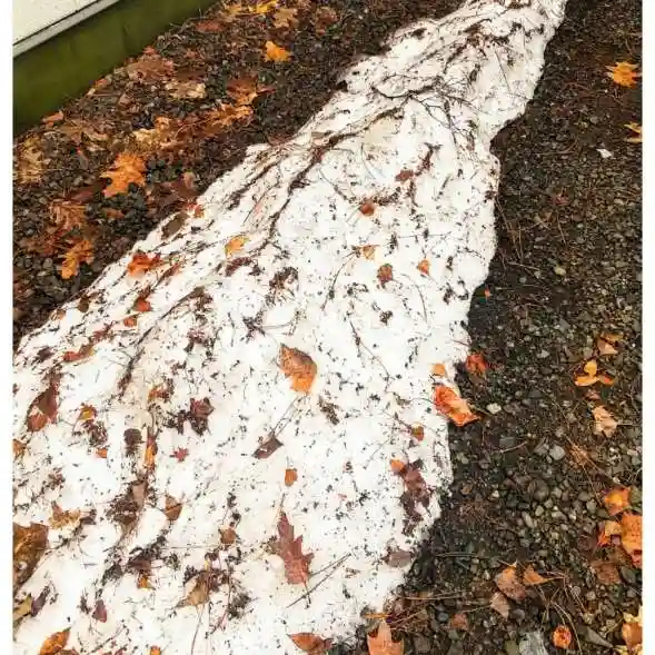 彌彦神社 (伊夜日子神社)の庭園