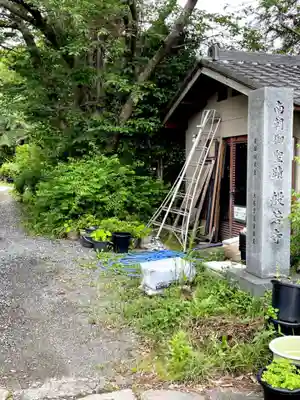 般若寺 ❁﻿コスモス寺❁(奈良県)