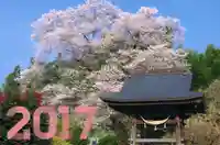 曹洞宗 永松山 龍泉寺のその他建物