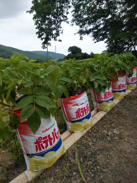 高司神社〜むすびの神の鎮まる社〜(福島県)