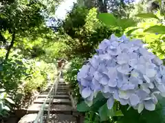 吉備津神社の自然