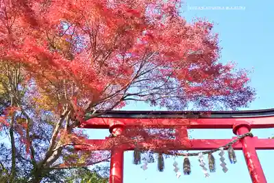 高尾山薬王院(東京都)