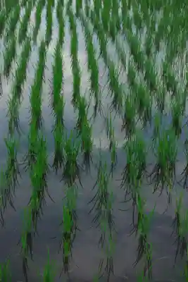 手力雄神社の周辺