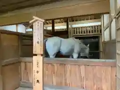 金刀比羅宮の動物