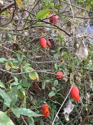 鳩吹稲荷神社の自然