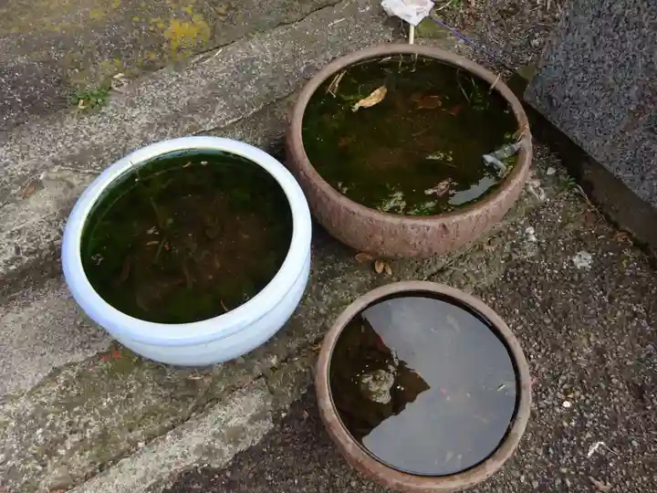 伊勢原 法泉寺の動物