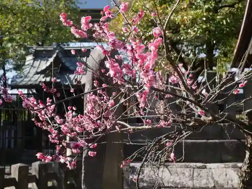 三囲神社の自然