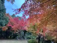 常楽寺の自然