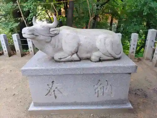 白山神社（二子町）の狛犬