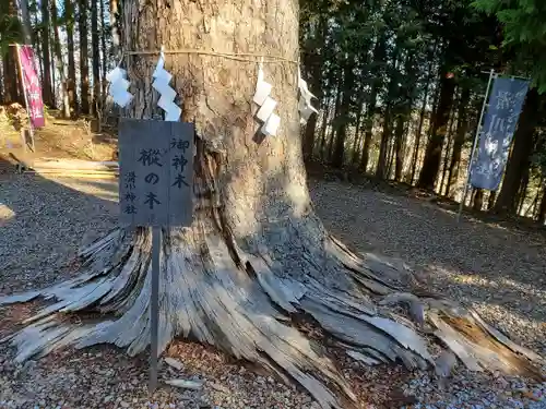 滑川神社 - 仕事と子どもの守り神の自然