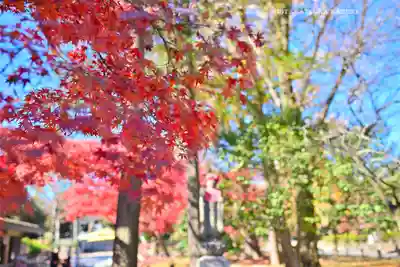 鑁阿寺(栃木県)