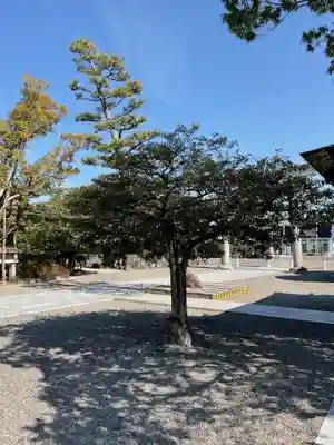 田縣神社(愛知県)