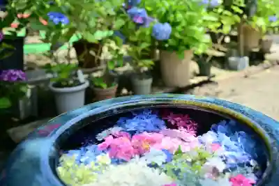 光照寺(新潟県)