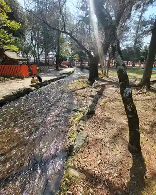 賀茂別雷神社（上賀茂神社）(京都府)