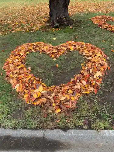 多賀神社の自然