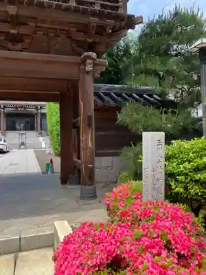 大樂寺(東京都)