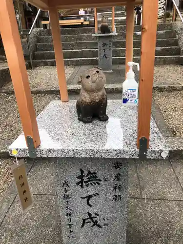 白國神社の狛犬