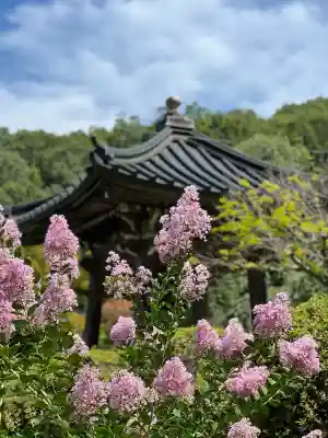 陽林寺(福島県)