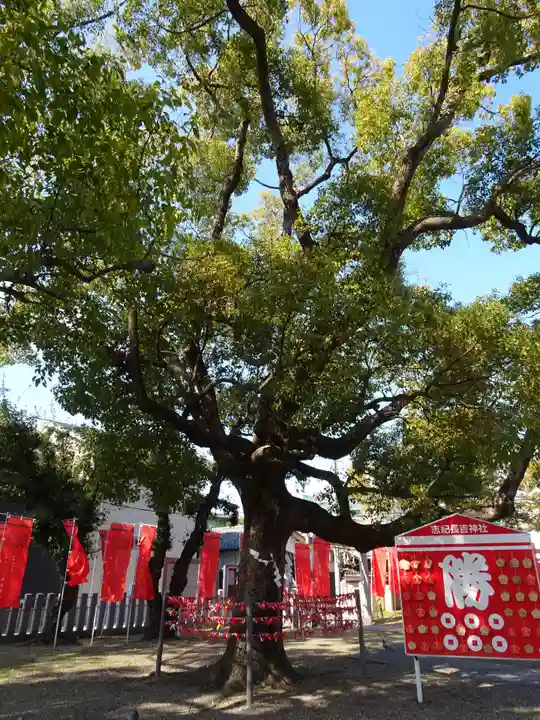 志紀長吉神社(大阪府)