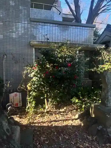 印内八坂神社(千葉県)