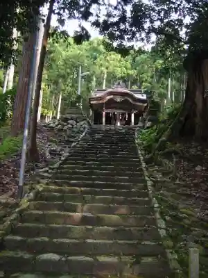 津野神社(今津町角川)(滋賀県)