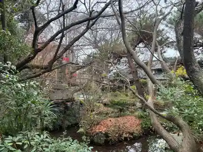 舎那院の庭園