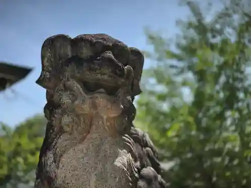 今宮神社の狛犬