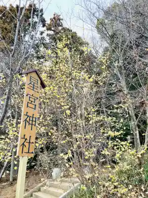 星宮神社の{uncategorized: "未分類", other: "その他", undefined: "問題あり", building: "その他建物", grave: "お墓", sacred_gate: "鳥居", guardian: "狛犬", statue: "像", buddha: "仏像", history: "歴史", nature: "自然", garden: "庭園", animal: "動物", pagoda: "塔", temizu: "手水舎", mountain_gate: "山門・神門", sanctuary: "本殿・本堂", subordinate: "末社・摂社", art: "芸術", scenery: "景色", jizo: "地蔵", ema: "絵馬", goshuin: "御朱印", omikuji: "おみくじ", items: "授与品その他", amulet: "お守り", goshuincho: "御朱印帳", eats: "食事", festival: "お祭り", votive_dance: "神楽", shichigosan: "七五三参", wedding: "結婚式", experience: "体験その他", initially: "初詣", around: "周辺", anti_infection: "感染症対策"}