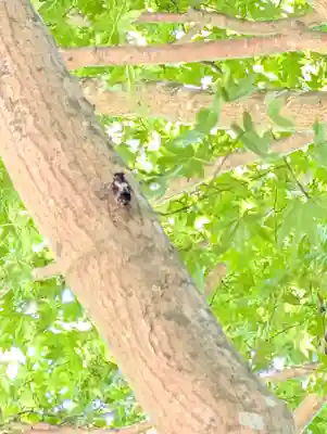 正一位 若草稲荷神社(宮城県)