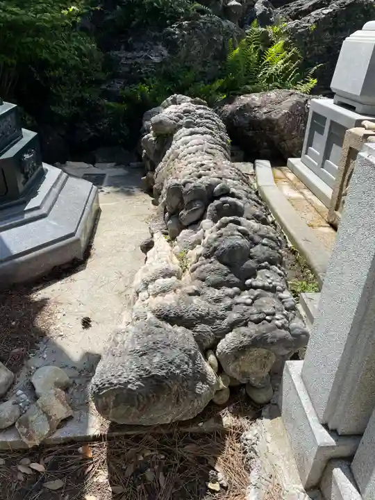 金剛福寺(高知県)