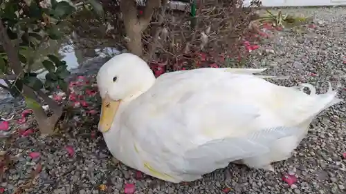 神泉苑(京都府)