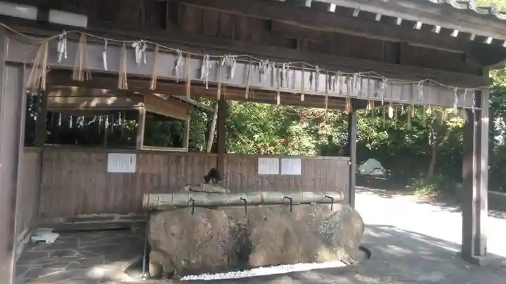 八幡古表神社の手水舎