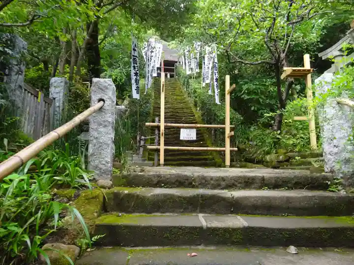 杉本寺の自然