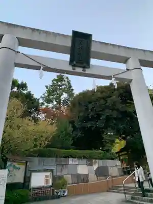 乃木神社の鳥居