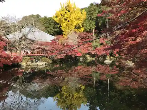 醍醐寺(京都府)