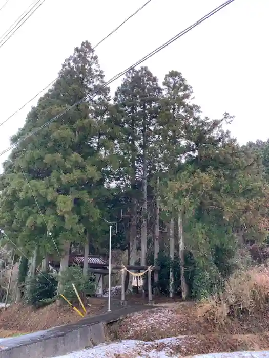 神明神社の建物その他