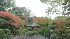 円通寺の庭園