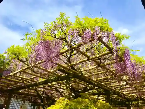 春日大社の庭園