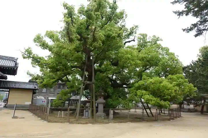 善通寺(香川県)