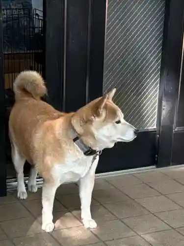笠䅣稲荷神社(神奈川県)