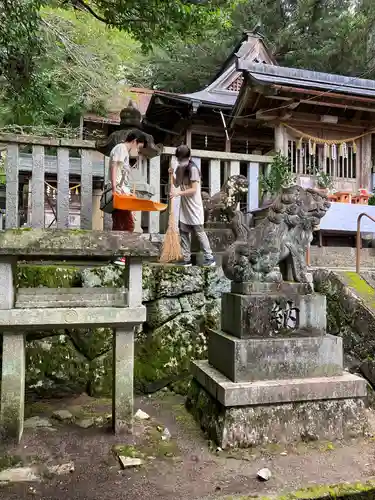 天鷹神社の狛犬